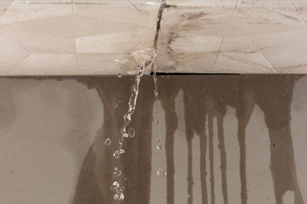 Professional Water Extraction technician working in Lyndhurst, NJ
